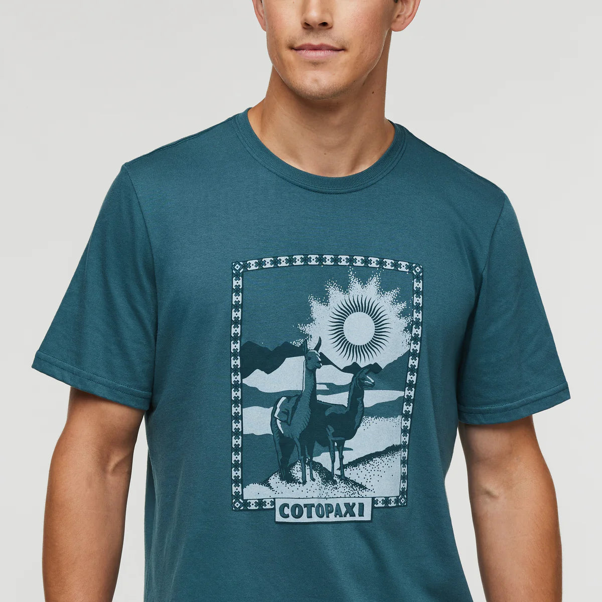 Llama Greetings T-Shirt - Men's