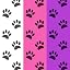 WePet Pet Wrap, Self-Adhesive, Only Sticks to Itself, Non-Woven Tape for Dog Legs, Paws, Wounds, First Aid Cohesive Gauze for Horse, Cat, Bird, Animal, 6 Rolls, 2 Inch, Pawprints A