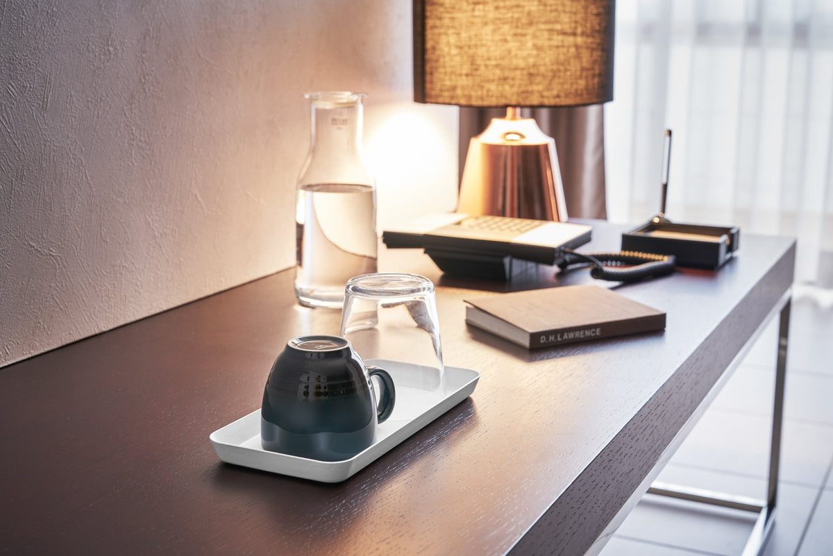 Vanity Tray - Flat - Large - Steel